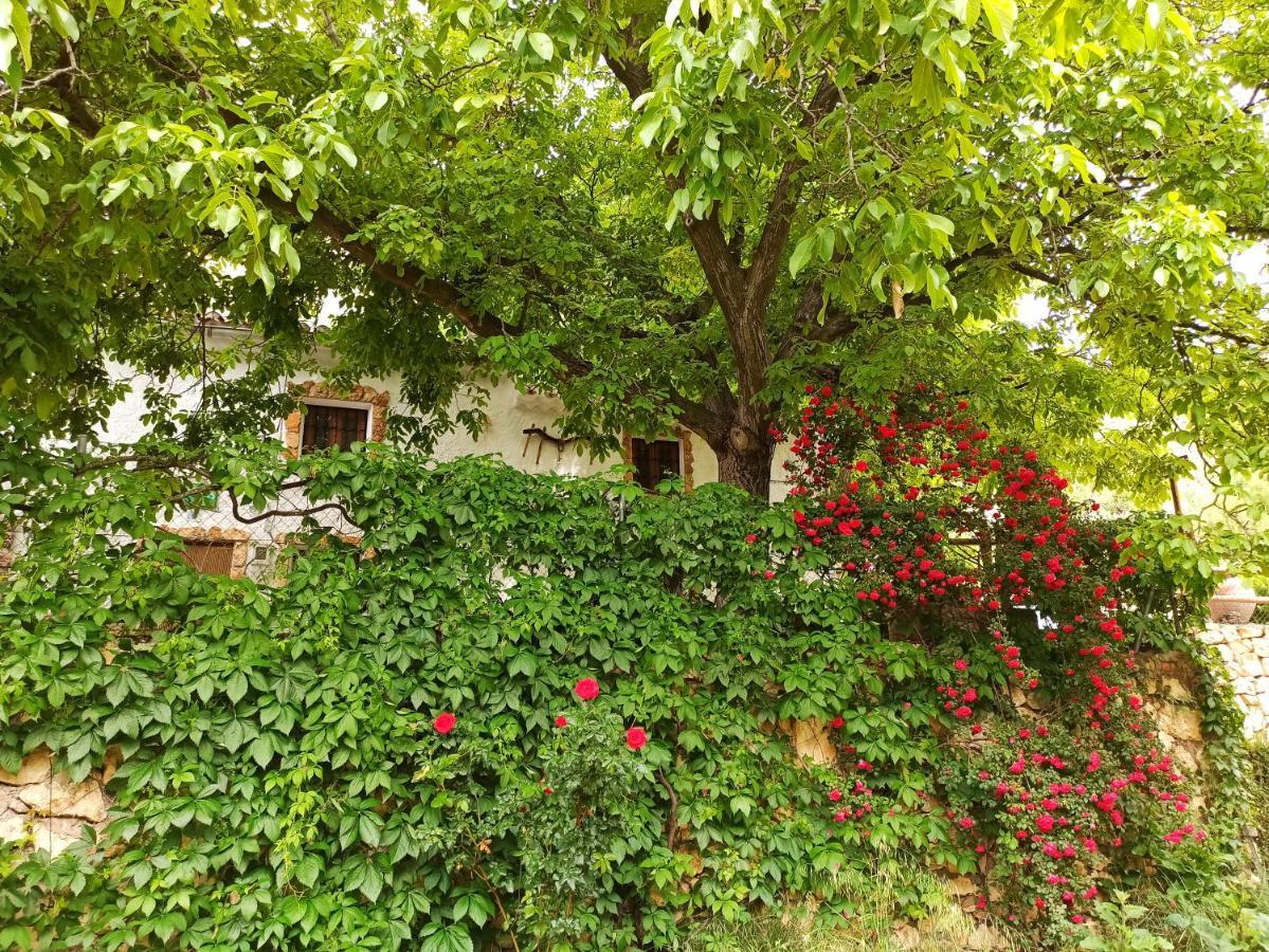 منزل الضيف نيربيو  في Cortijo Ramon Petra المظهر الخارجي الصورة